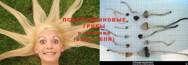 метадон Володарск